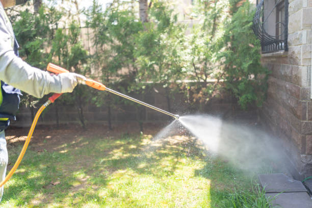 Best Pest Prevention Services  in Tipton, IA